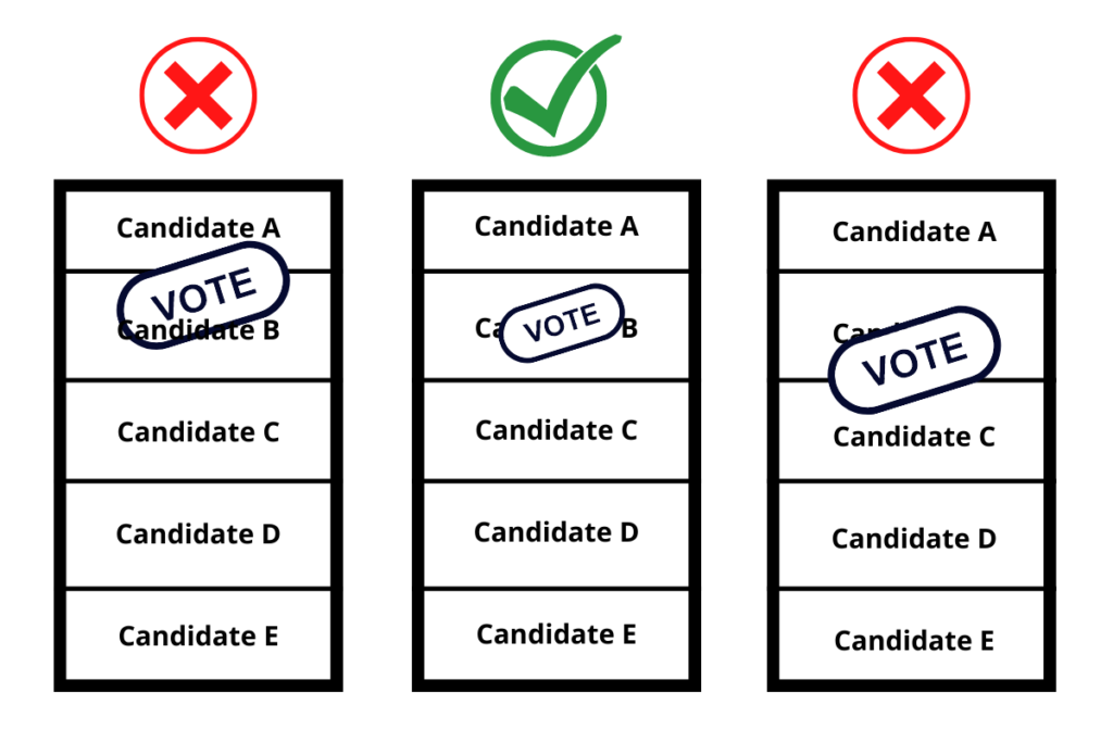 how to cast vote correctly